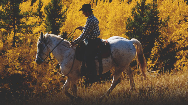 Filming movies near Calgary