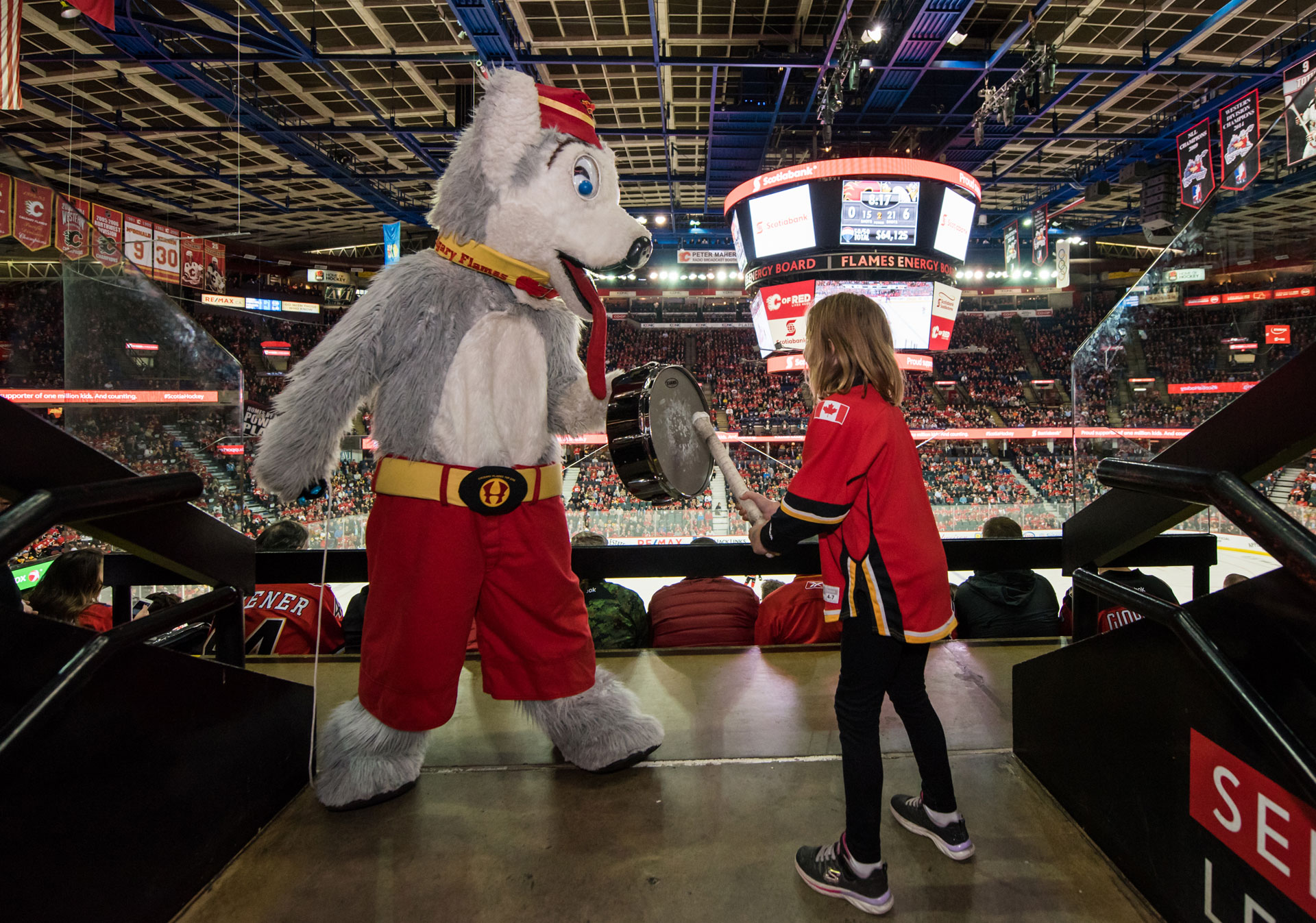 Harvey the Hound pounding a drum with a young guest at the Calgary Flames game, Scotiabank Saddledome