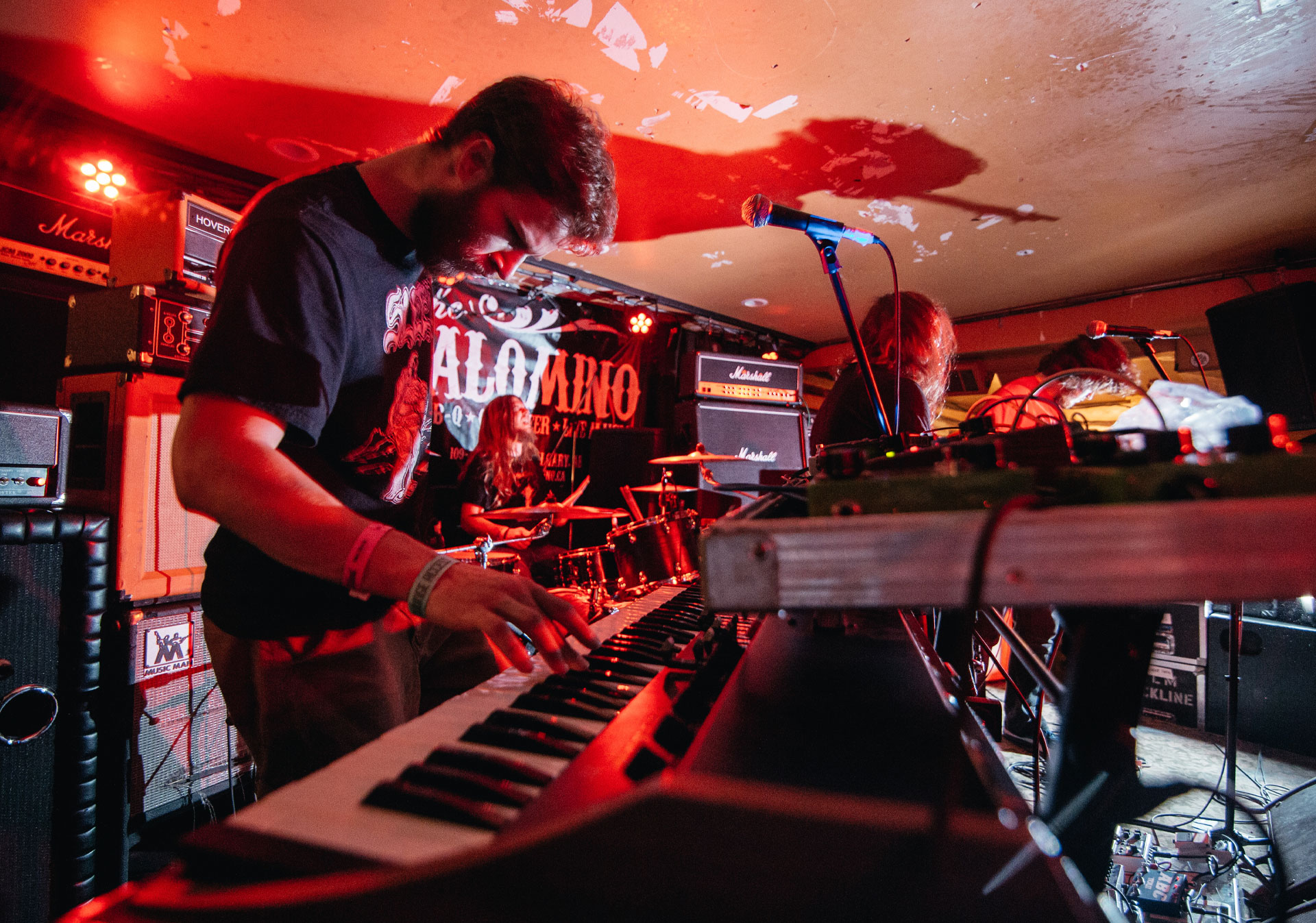 Close up shot of a key board player performing at the The Palomino Smokehouse.