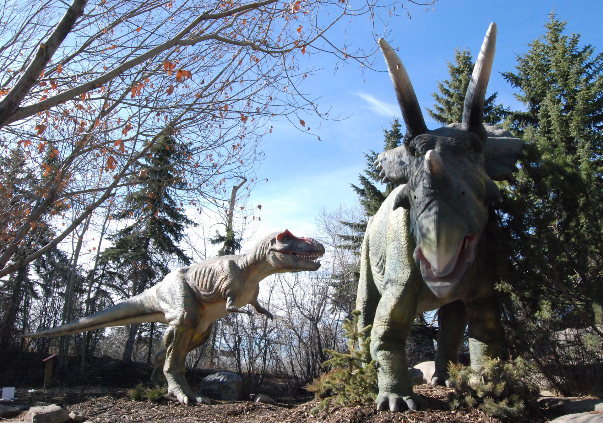 Dinosaurs at Wilder Institute/Calgary Zoo Prehistoric Park.