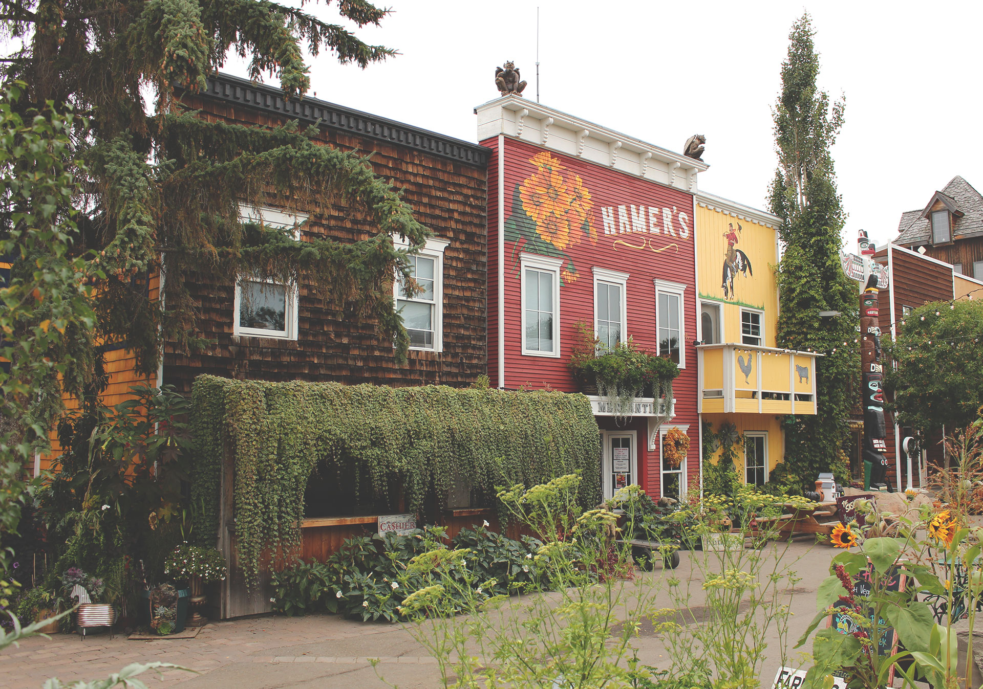 Saskatoon Berry Farm