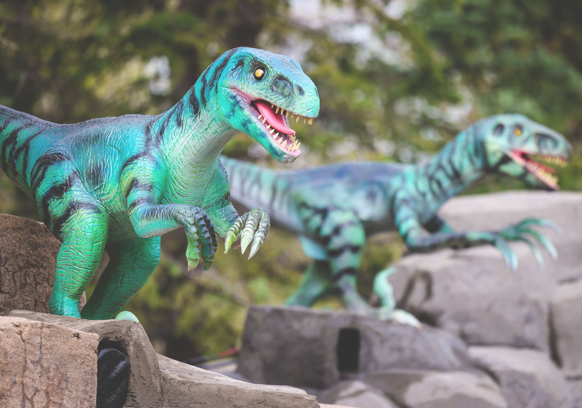 Prehistoric Park at the Wilder Institute/Calgary Zoo