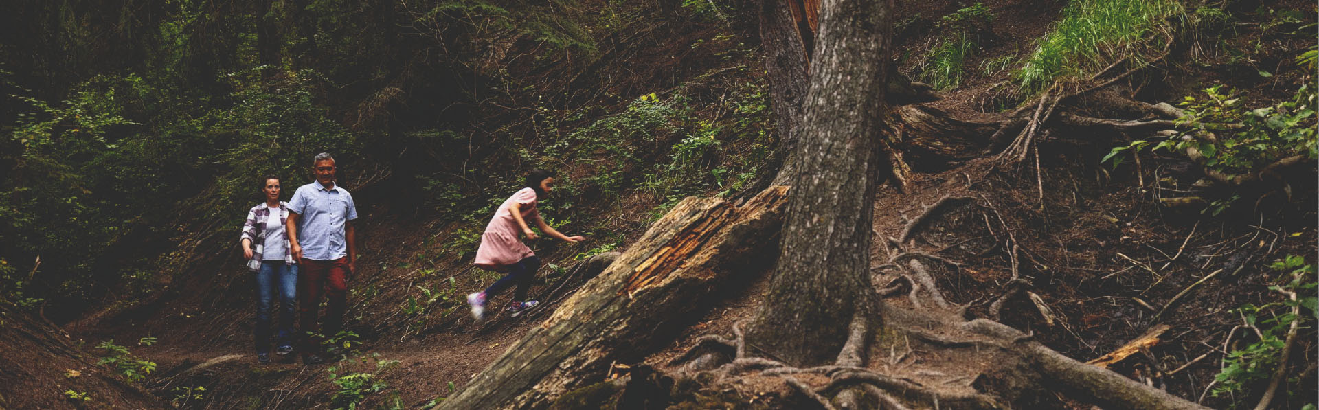 family of three walking along a dirt path with exposed tree roots on the Douglas Fir Trail