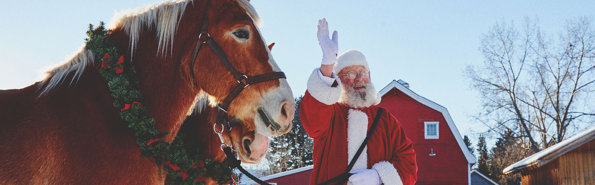 Santa stands with two harnessed horses at Heritage Park waving to someone off camera