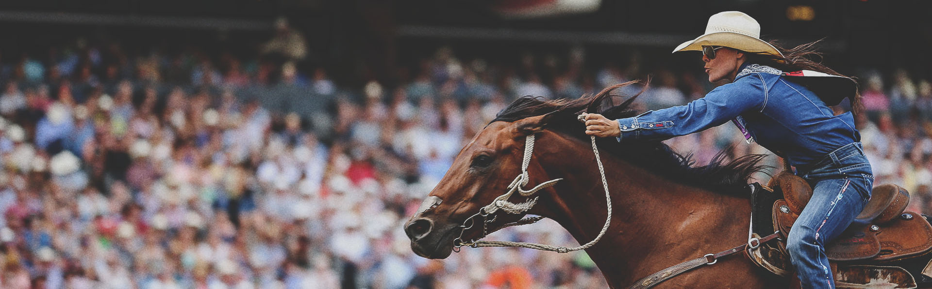 barrel racer competing during the Calgary Stampede Rodeo