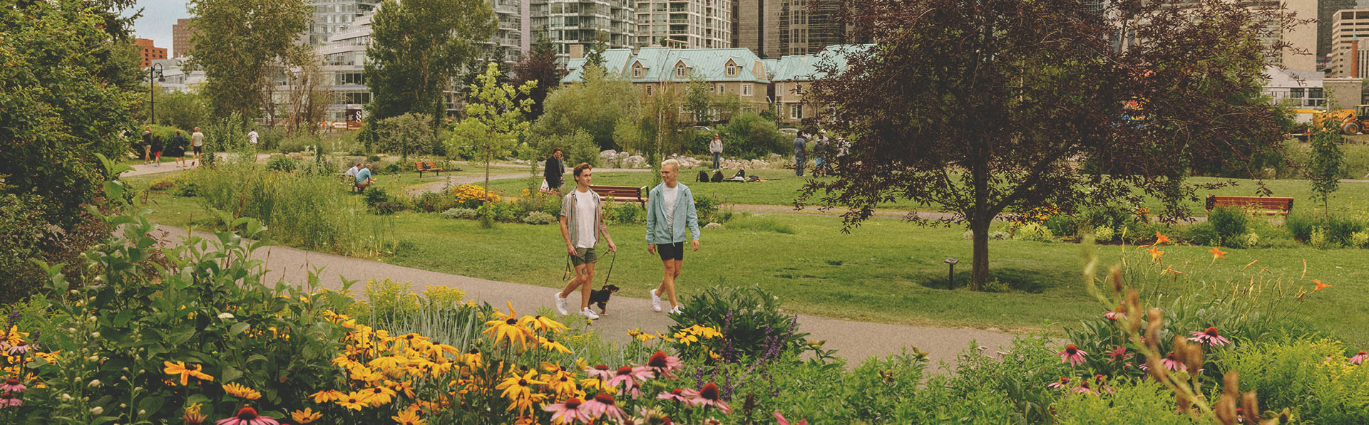 couple walking their dog through Prince's Island Park during summer