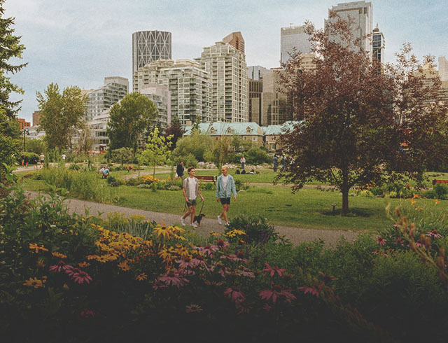 couple walking their dog through Prince's Island Park during summer