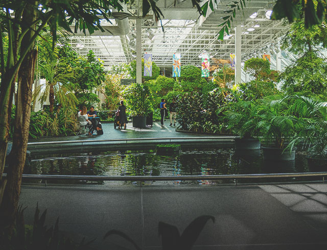 Devonian Garden