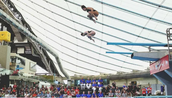 FINA Diving