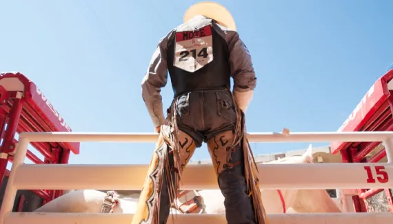 Calgary Stampede Cowboy