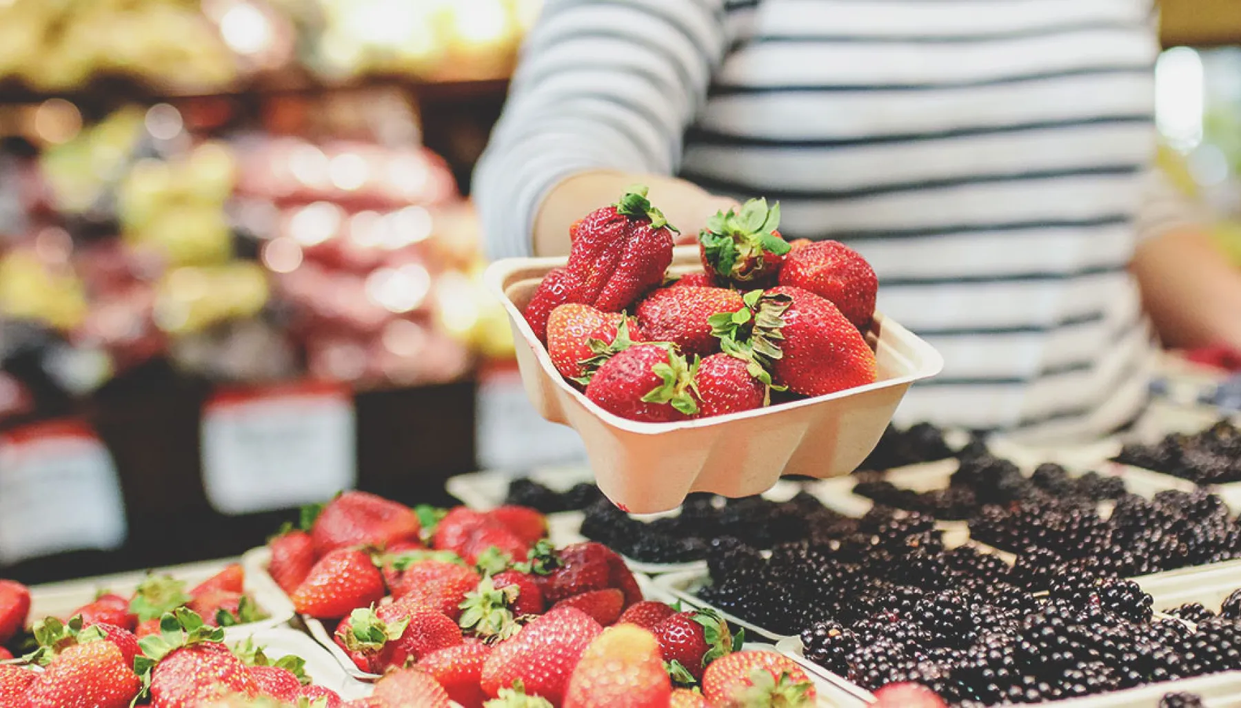 Calgary Farmer's Market Fresh Berries
