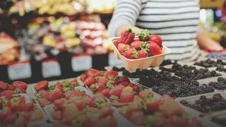 Calgary Farmer's Market Fresh Berries