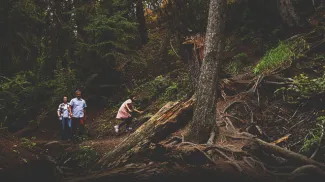 people hiking in Douglas Fir 