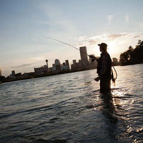 Fly fishing on Bow