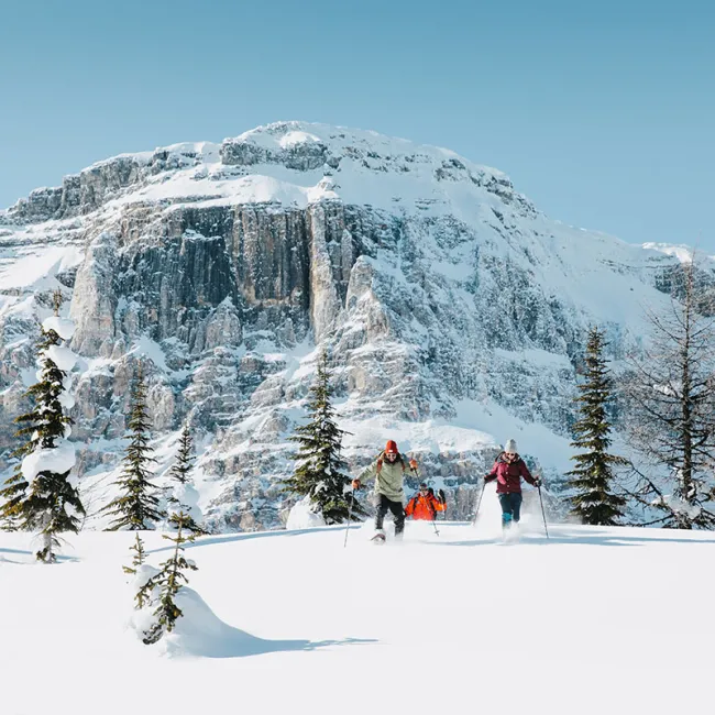 Things to do in Banff and Lake Louise in Winter 