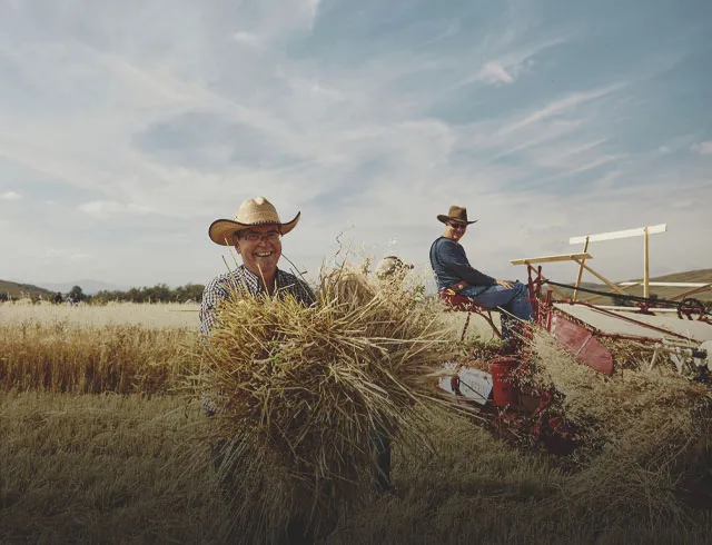 two farmers haying with manual equipment in Alberta's foothills