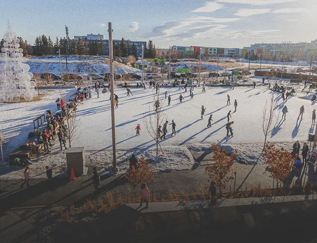 Things to Do in University District