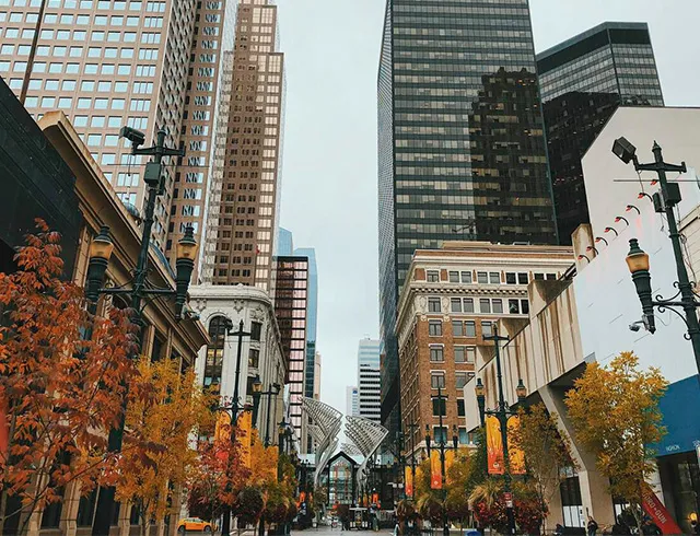 Stephen Ave Fall