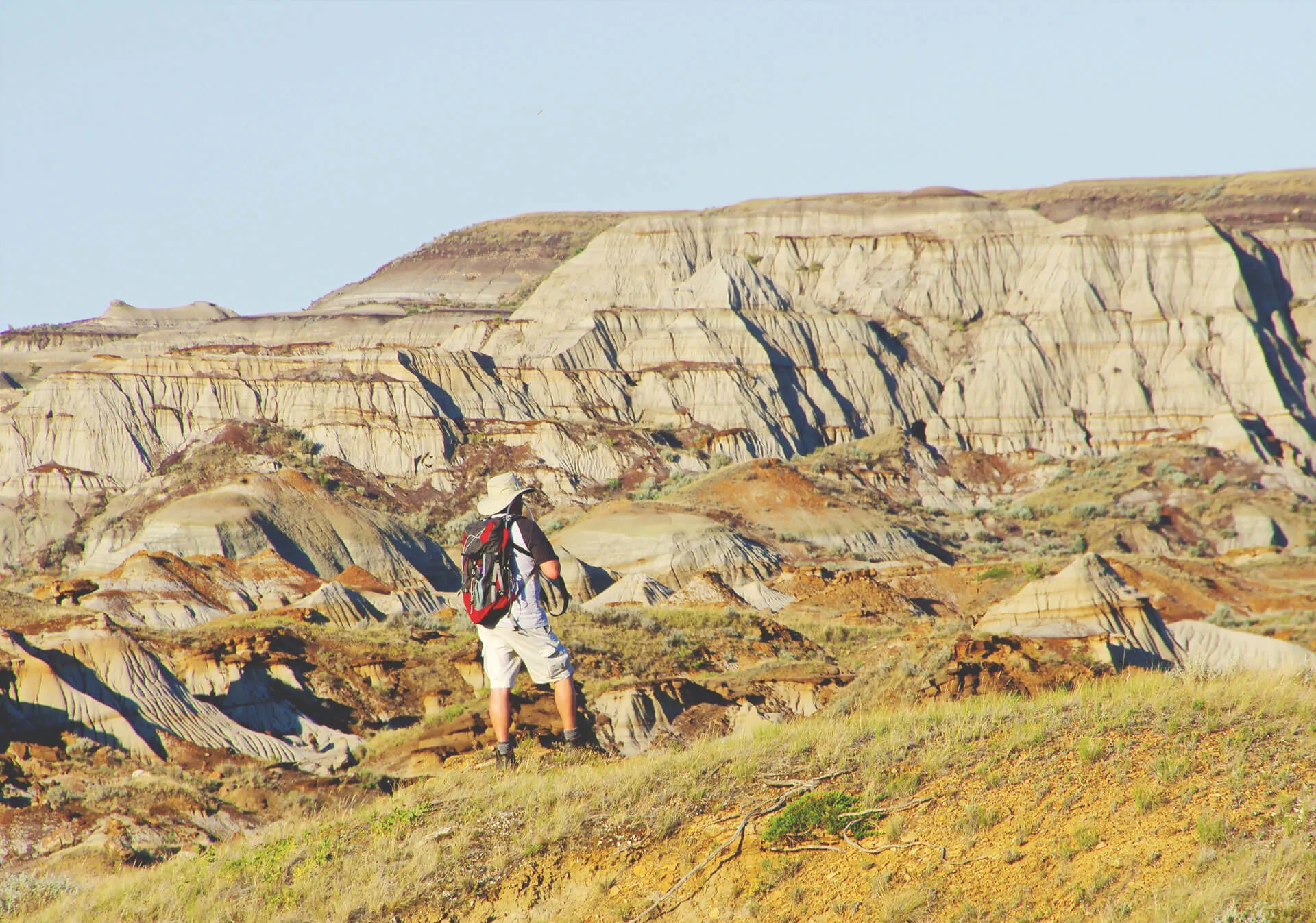 Canadian Badlands 