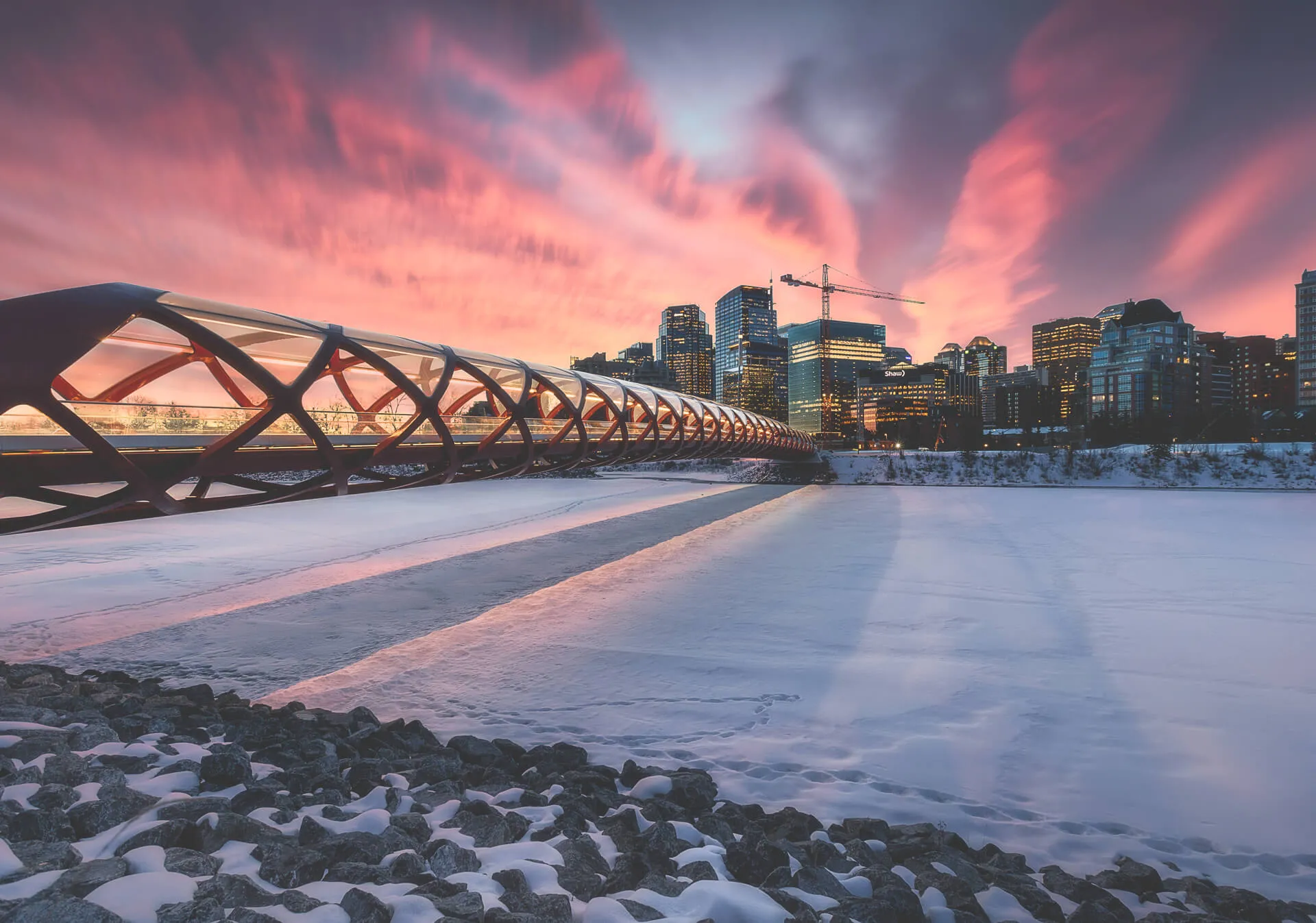 Calgary Peace Bridge with downtown Calgary skyline sunrise