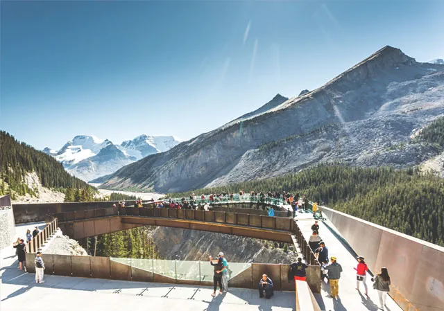 Glacier Skywalk in Jasper