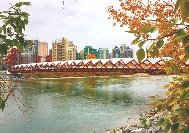 Peace Bridge