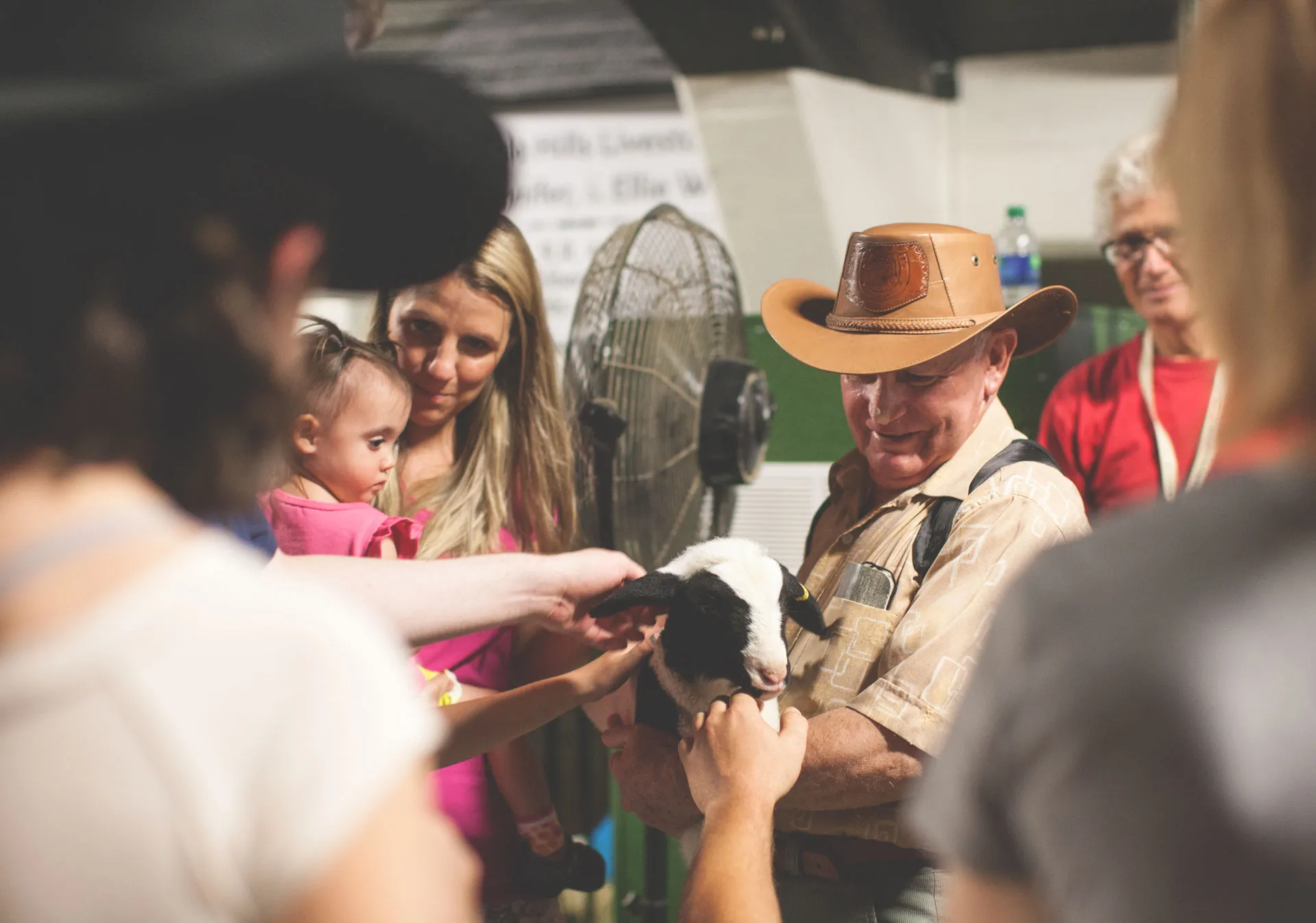 Agriculture showcases at the Calgary Stampede.