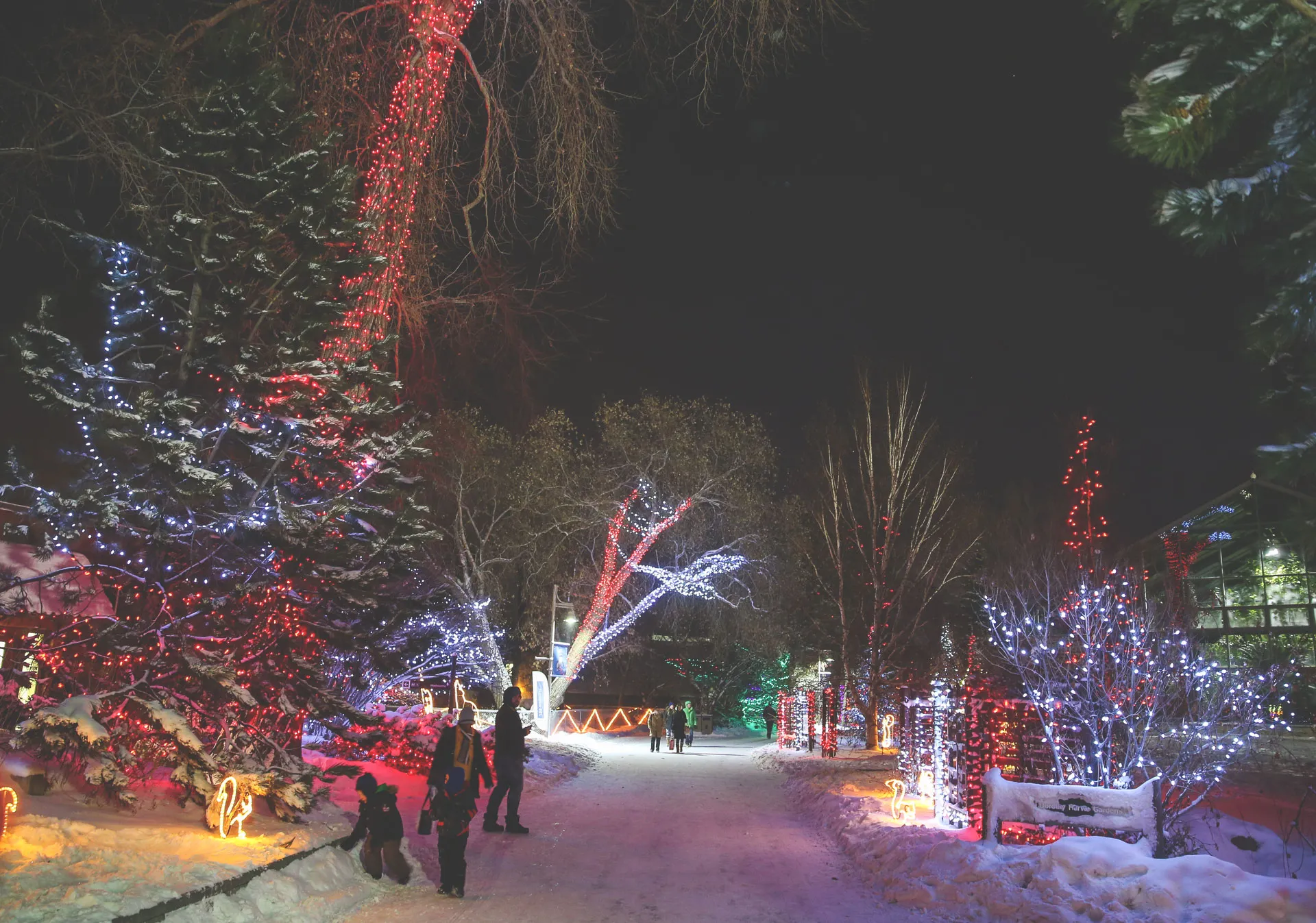 ZOOLIGHTS at the Wilder Institute/Calgary Zoo.