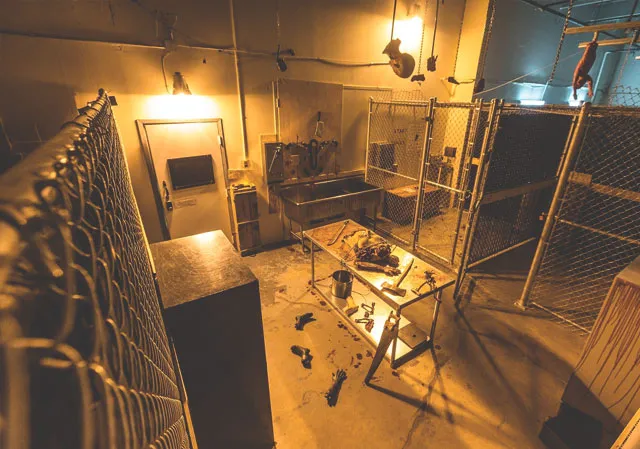 The Locked Room
