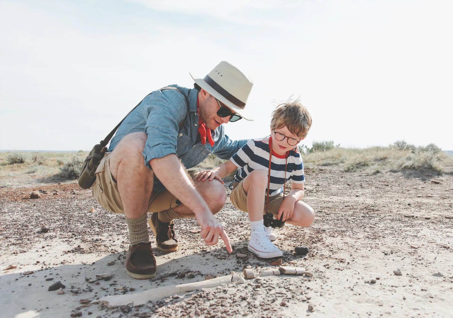 Tour Dinosaur Provincial Park (Photo credit: Travel Alberta/Mike Seehagel).