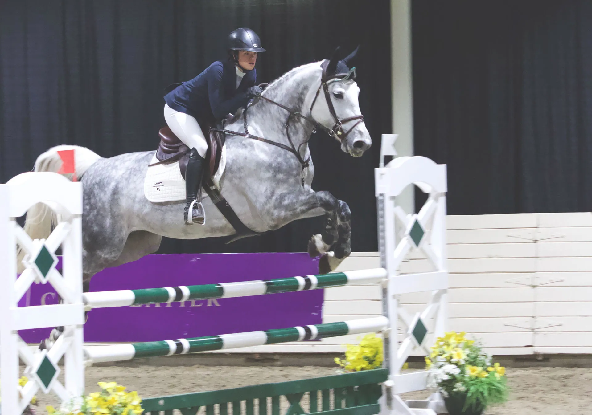 Spruce Meadows show jumping