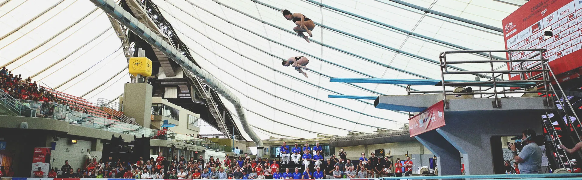 FINA Diving