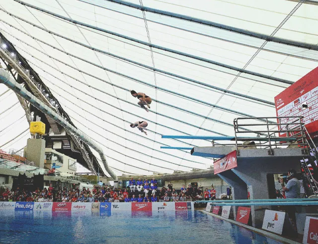 FINA Diving