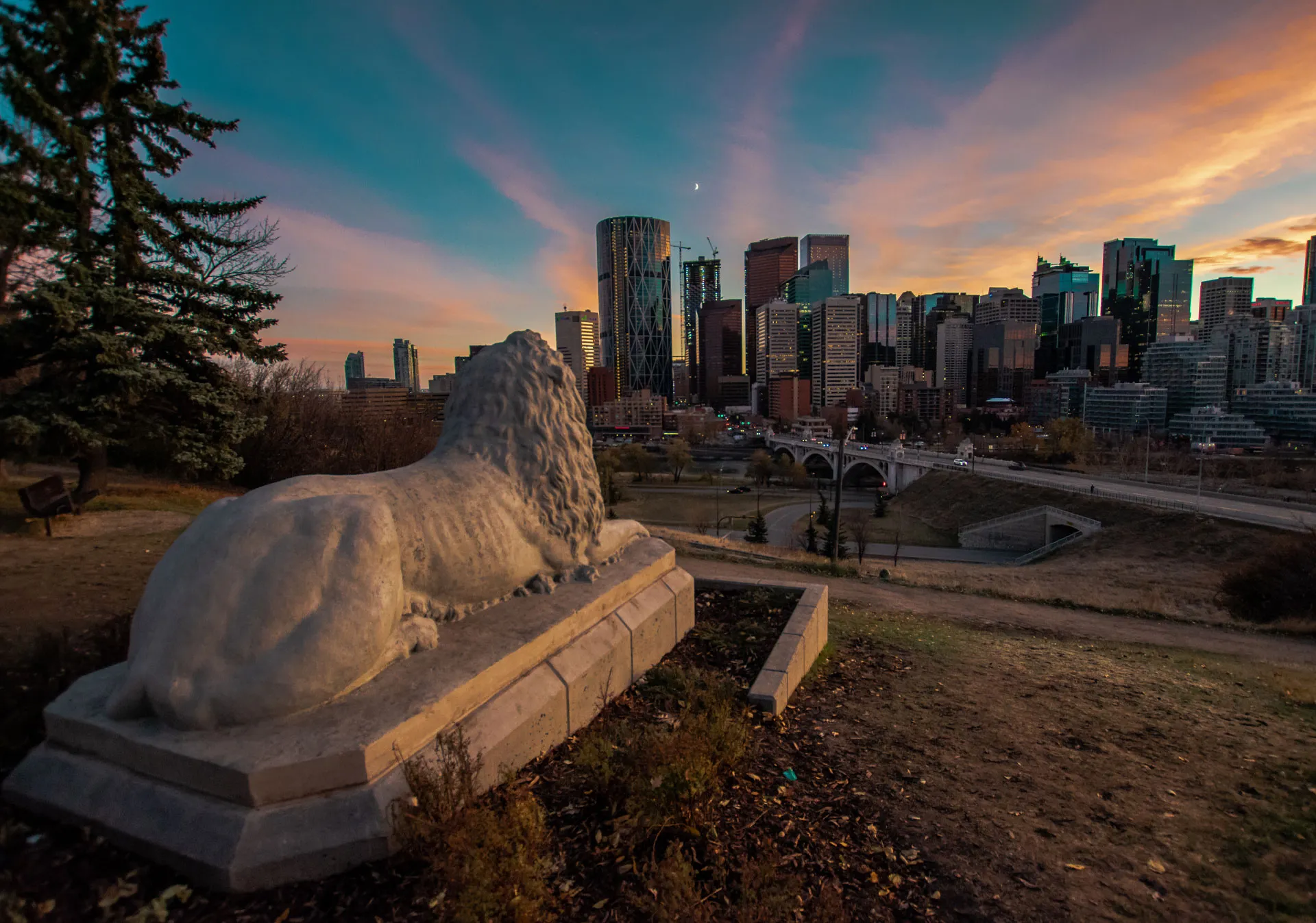 Centre Street Lions (Photo credit: Andrew Bain).