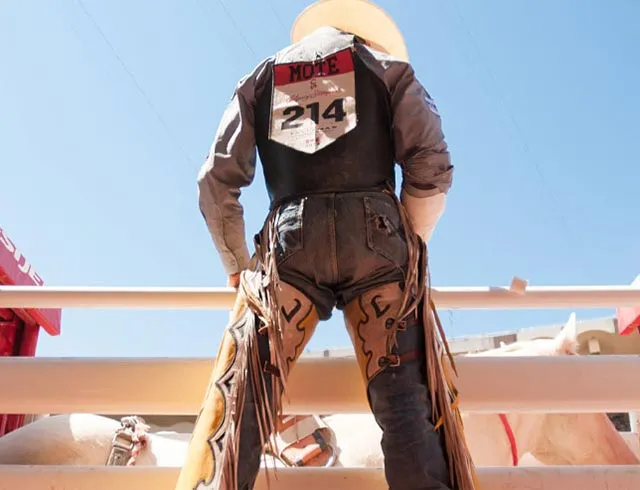 Calgary Stampede Cowboy