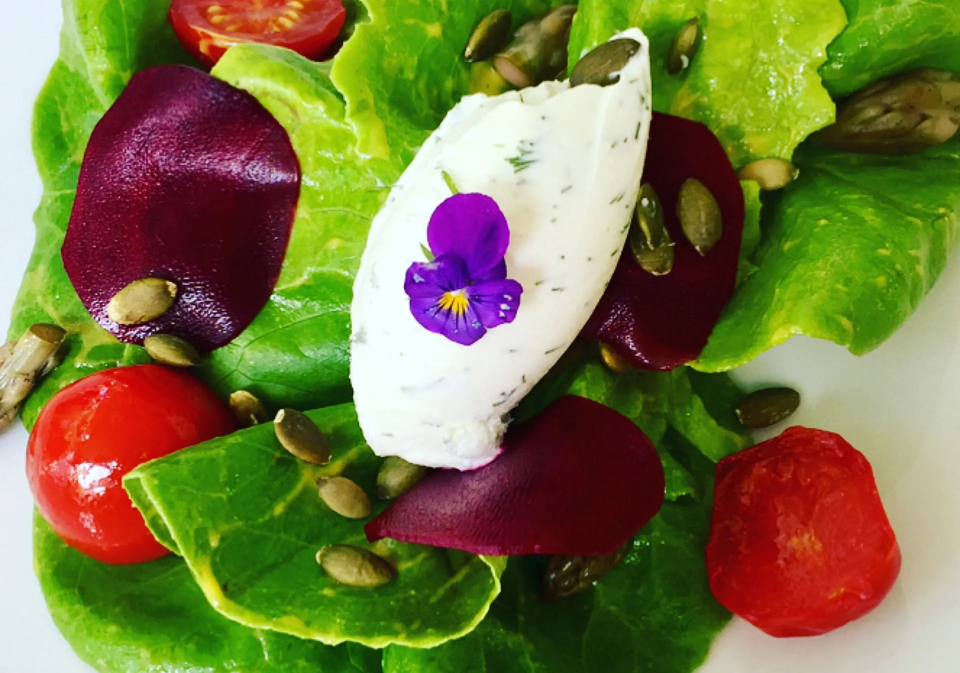 Salad greens with Alberta Honey and Canola dressing at Rouge (Photo credit: Karen Anderson).