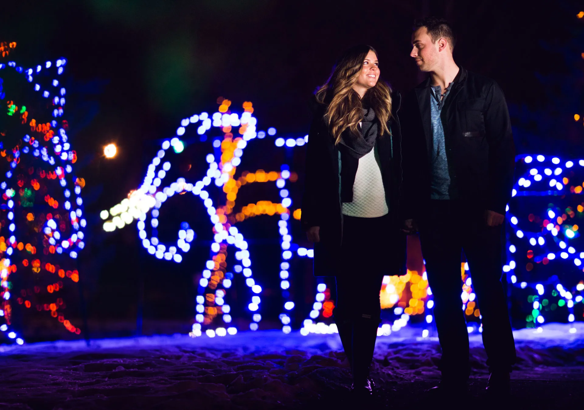 ZOOLIGHTS at the Wilder Institute/Calgary Zoo