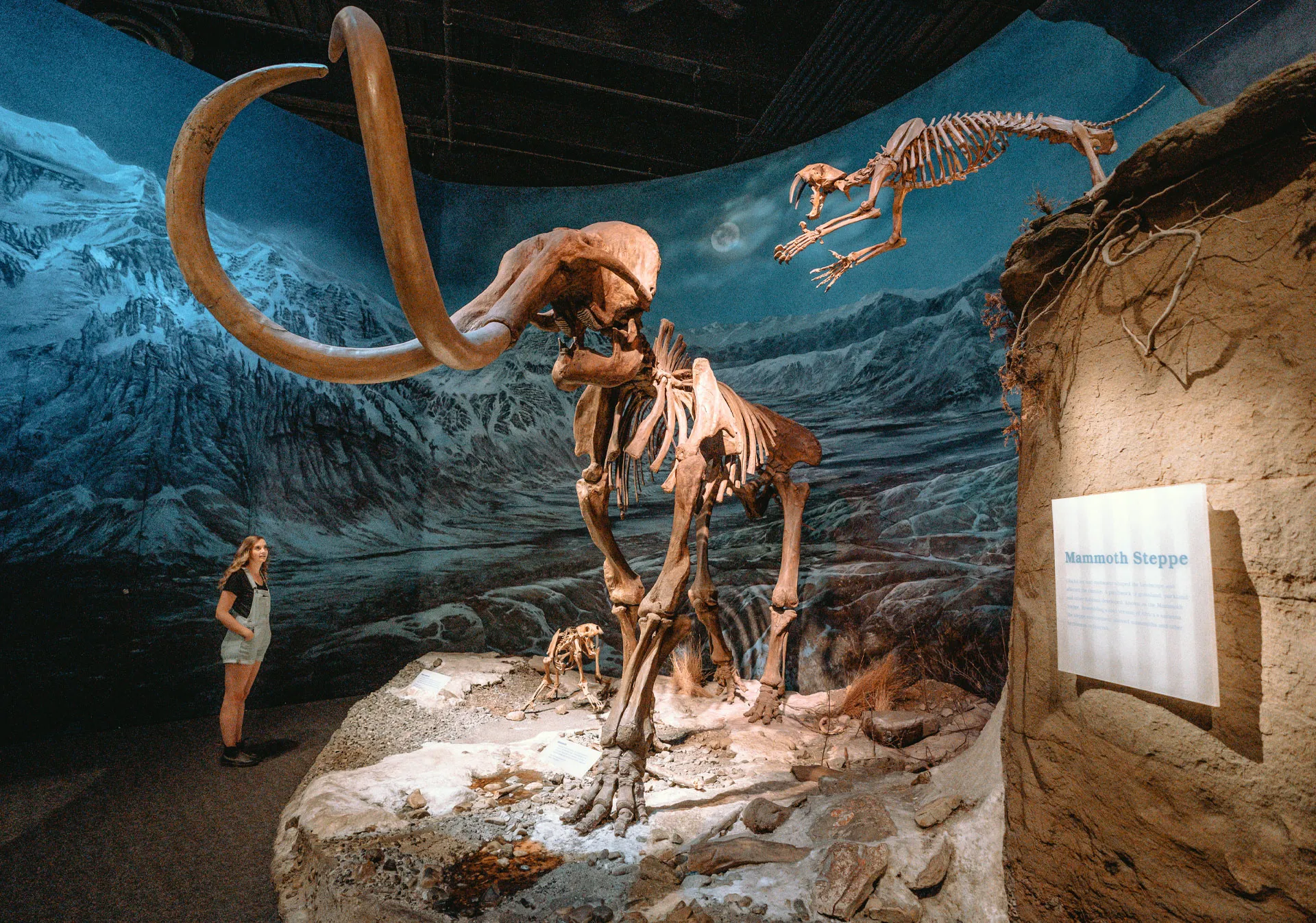 Royal Tyrrell Museum of Palaeontology (Photo credit: Travel Alberta/Davey Lieske)