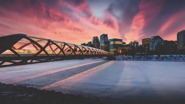 peace bridge in Calgary