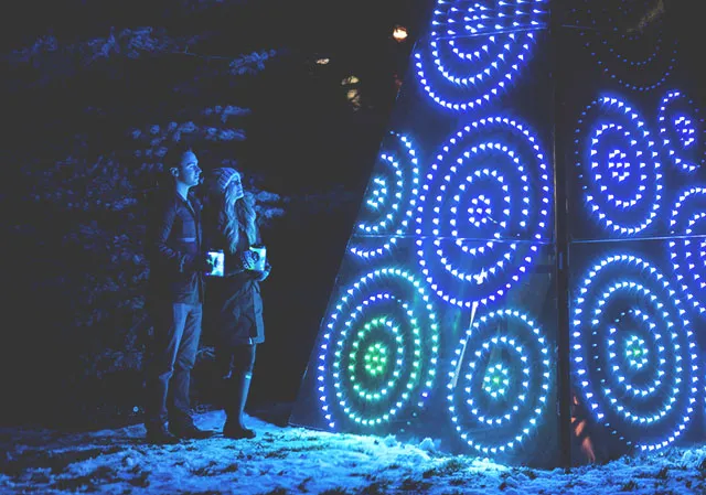 ZOOLIGHTS