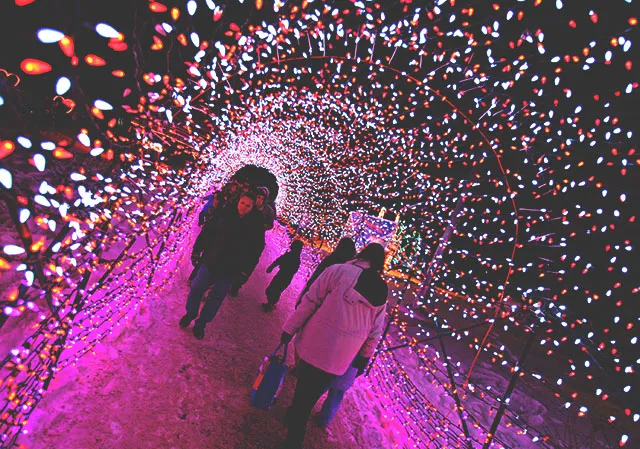 ZOOLIGHTS