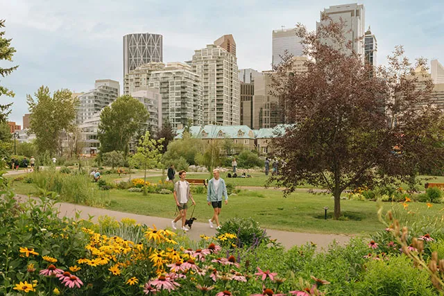 couple walking their dog in Prince's Island Park in summer