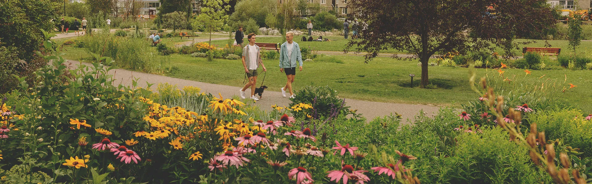 couple walking their dog in Prince's Island Park in summer