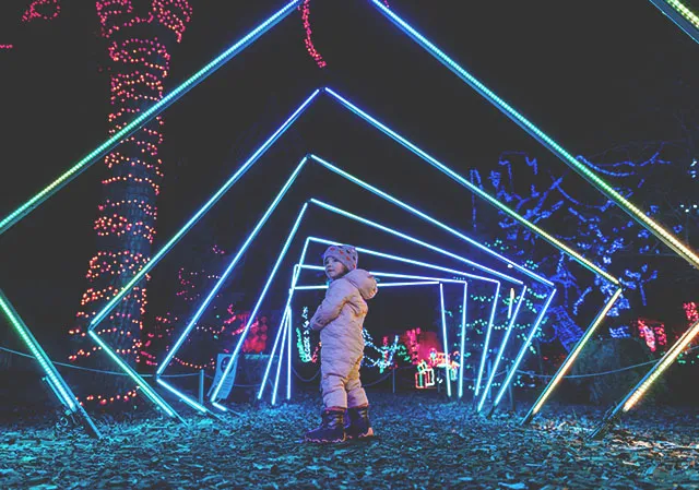 young girls walking through light displays at ZOOLIGHTS