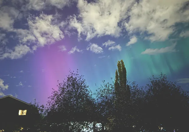 northern lights in Harvest Hills