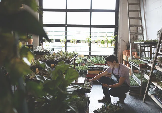 The staff at Plant are working